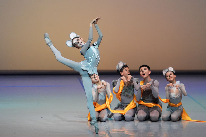 当芭蕾之美碰撞传统横蛮，中芭舞校创排新作《十二生肖》在京首演 — 新京报