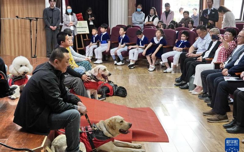 恳求导盲犬，要不要邻人拥护？