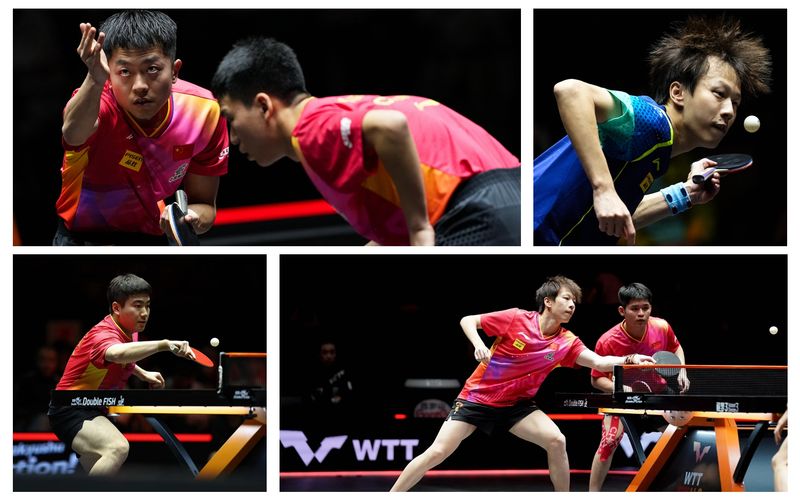 外战5连败遭重创，国乒队面临主要对于手已经无优势 — 新京报