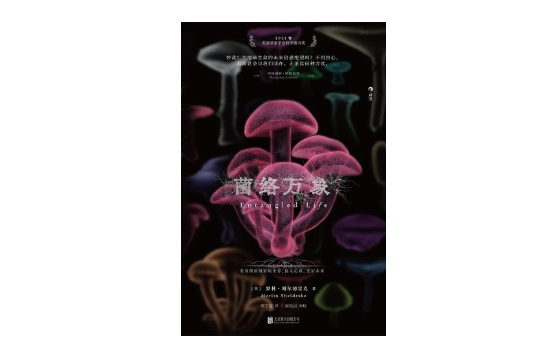 《菌络万象》｜逐日一书 — 新京报