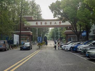 南京林业大学青年教师自杀， 知情人：未降级，曾长期患抑郁症