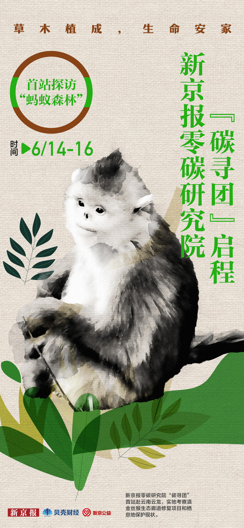 首站探望“蚂蚁森林”，新京报零碳钻研院“碳寻团”动身啦 — 新京报