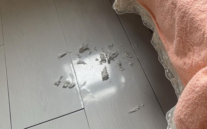 被性侵后，无奈重修的19年人生 — 新京报