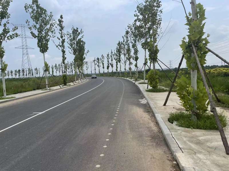 当骑行团失速后 — 新京报