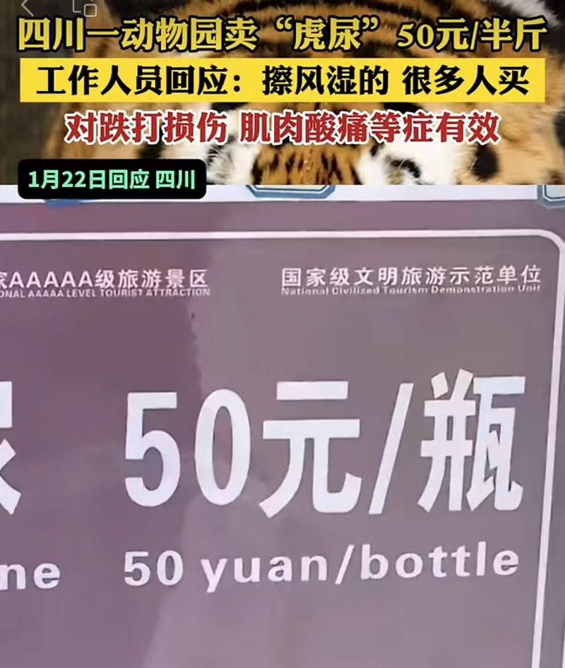 植物园卖虎尿，怎一个荒唐了患上