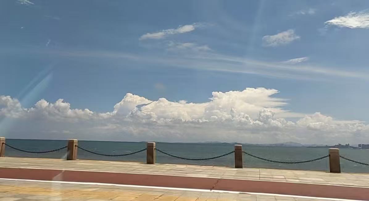 32个假男友，为离婚女性“定制”购房 - 新京报