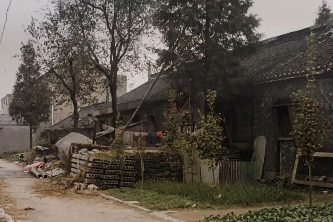 27ǰ̩˾ƻһɱ˰ɱٺӻؼȢ - Ŷ̬