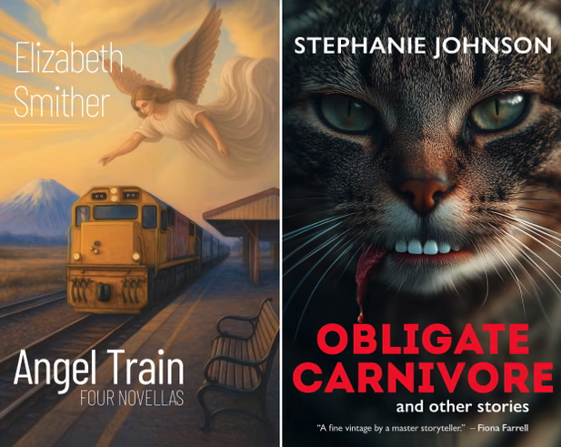 新西兰顶级图书奖因人工智能因素取消两名作家