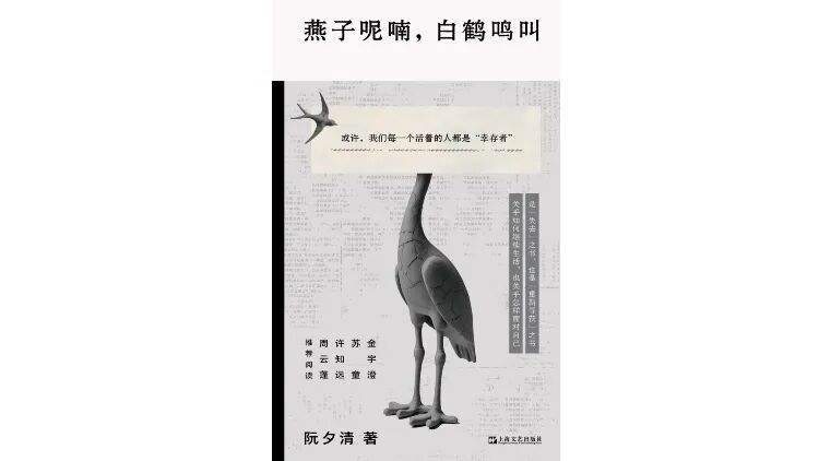 《燕子呢喃，白鹤鸣叫》｜逐日一书 — 新京报
