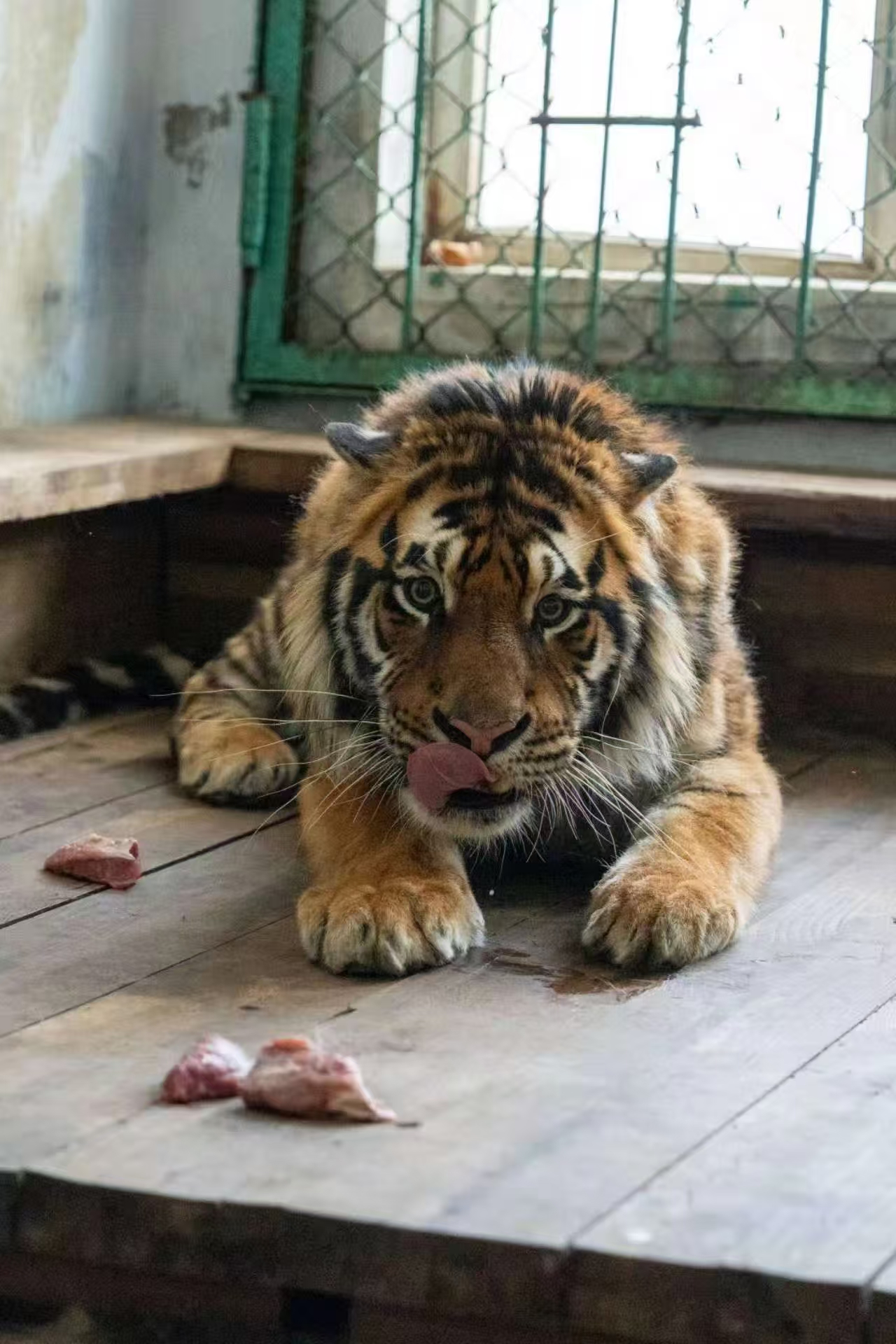 ǻϢˡ԰ʾЩļ뱣ܡʦ֪Ȩ -