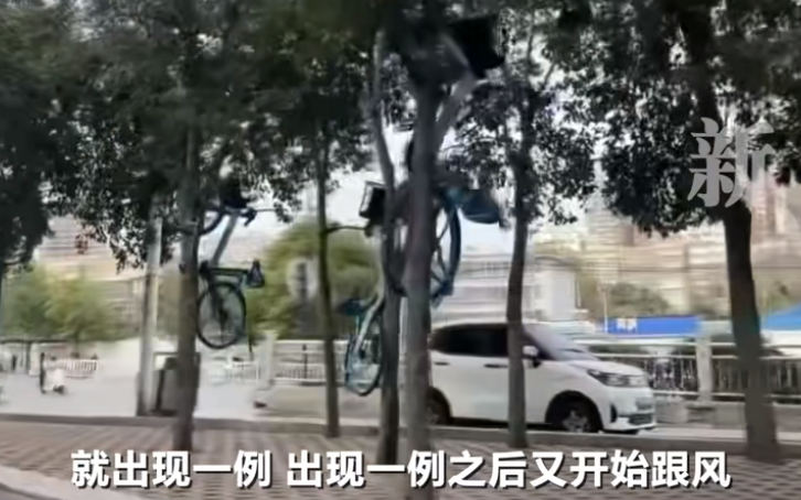 同享单车“上树”，无底线跟风不是特色表白
