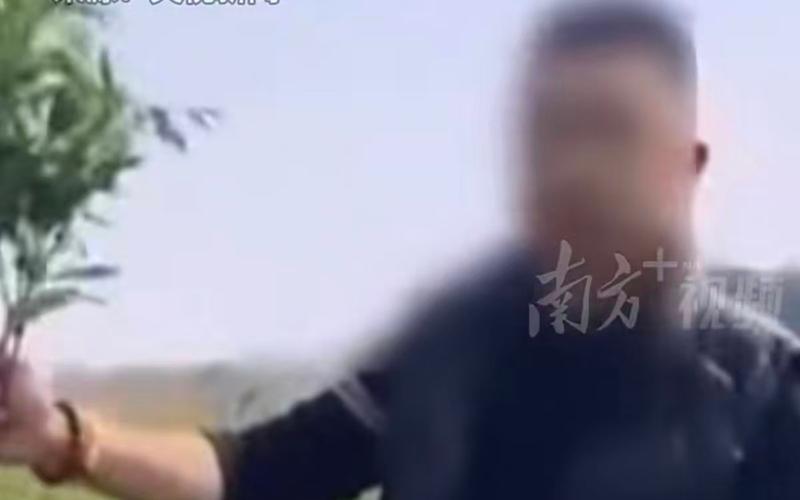 從搶白菜到搶辣椒，對(duì)“免費(fèi)謠言”不能止于辟謠