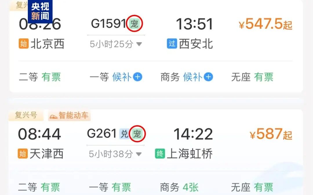 宠物可以单独“坐火车”，也是“宠物客人”的