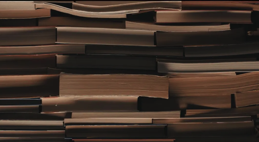 海伊文学节推出“快乐书