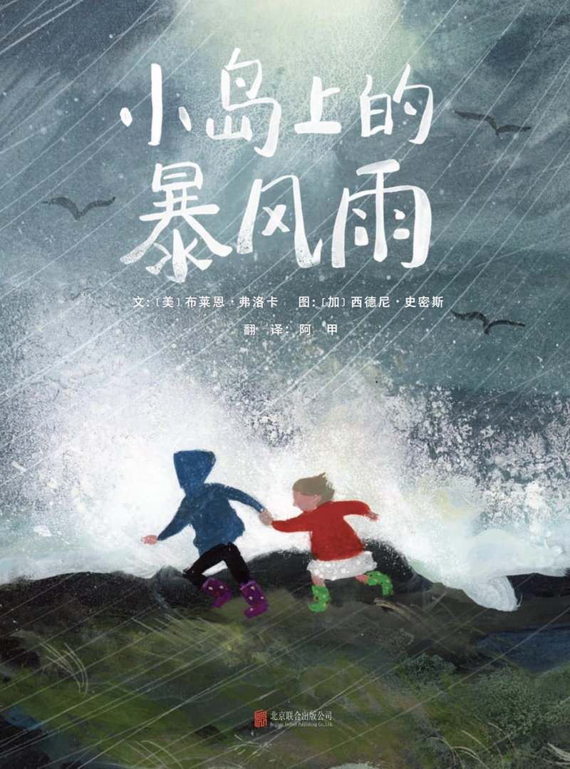 《小岛上的狂风雨》｜逐日一书 — 新京报