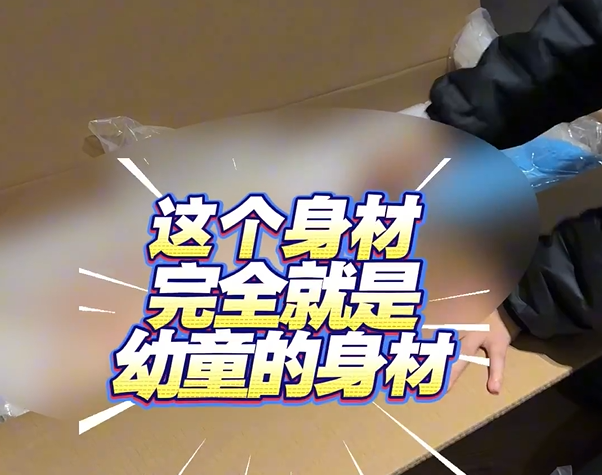 “少女”性玩偶：性化儿童跨越法律和道德界限