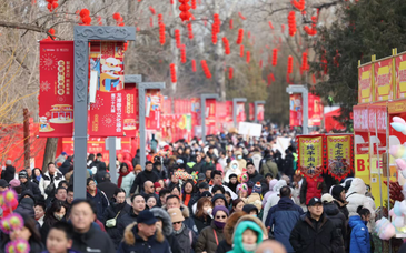 多维数据勾勒春节消费活力图景 | 新京报社论