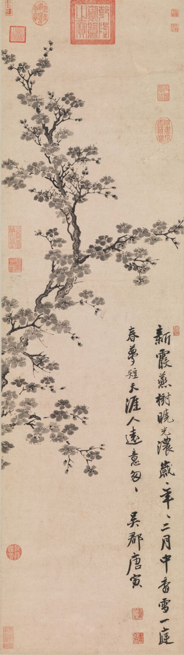 圖片