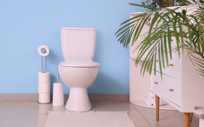 要求员工按《黄帝内经》如厕，这家企业“病患上不轻”