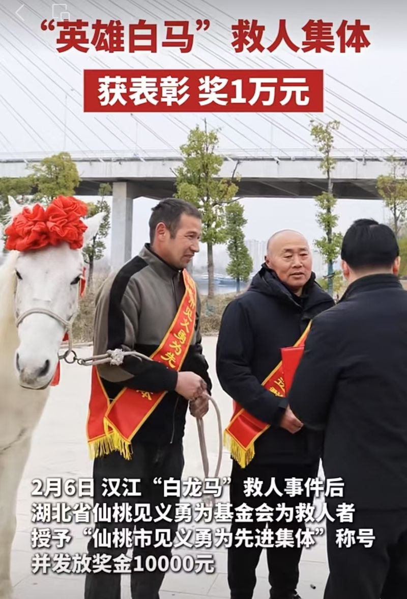 “白龙马”被表彰：惟独救人就值患上铭刻