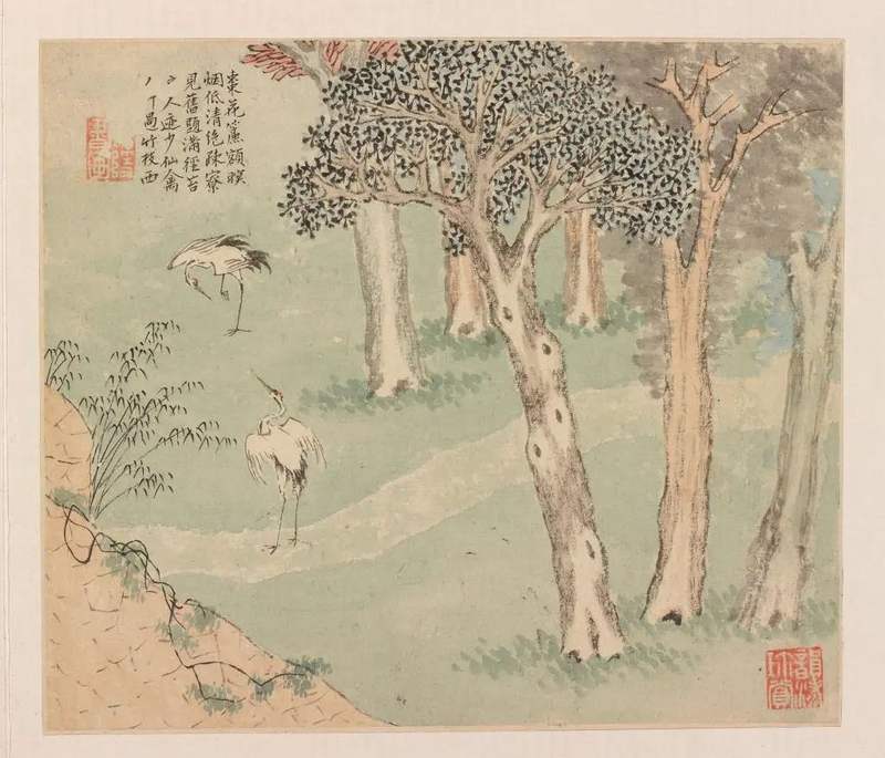 圖片