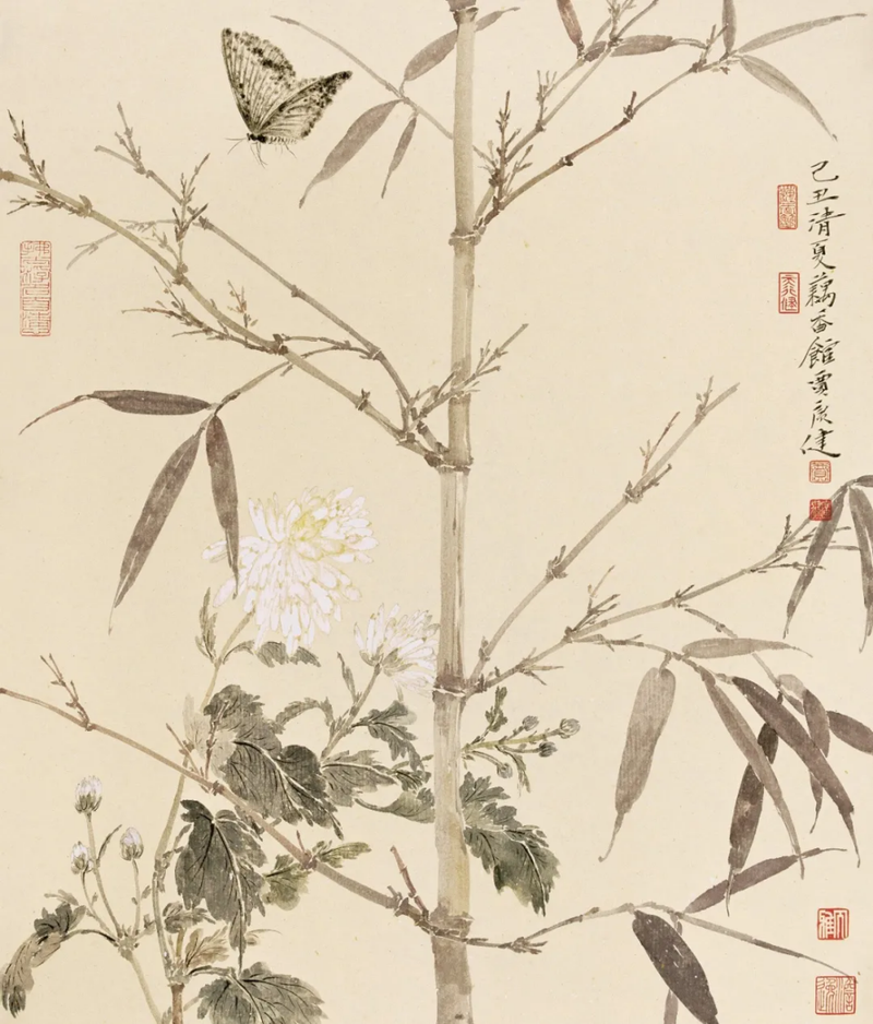 圖片