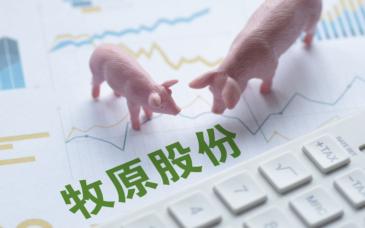 牧原3月生豬養(yǎng)殖完全成本約12.5元/kg，將加快股份回購(gòu)