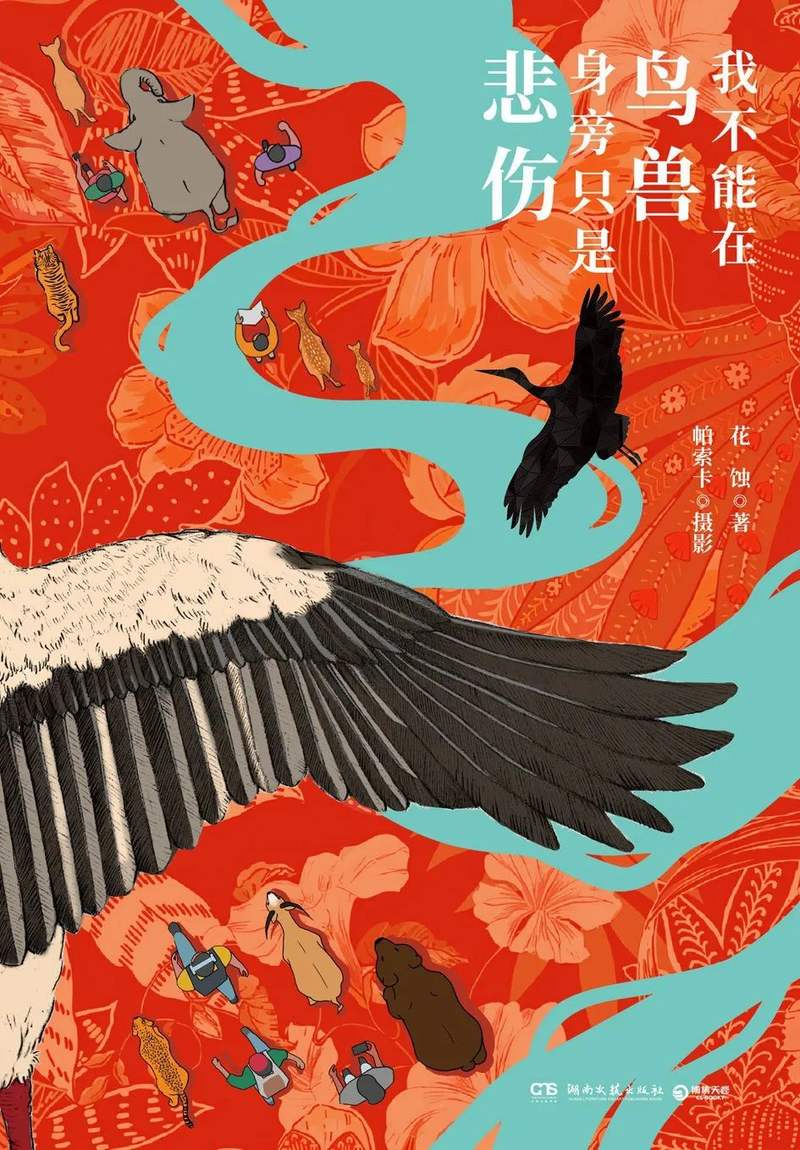 圖片