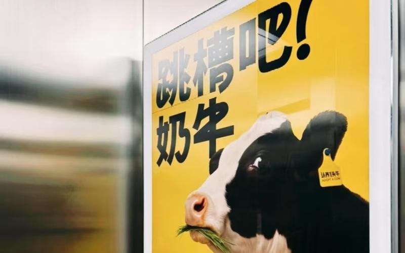 认养一头牛广告被指“奚落打工人”，公司回应 — 新京报