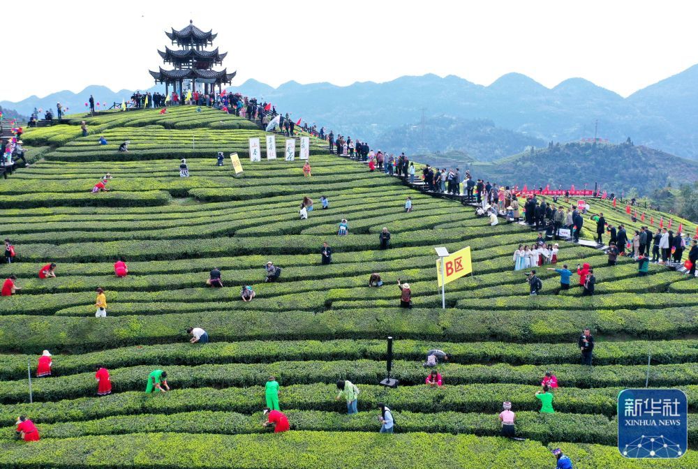 游客住在文化和旅游局主任的住所，可能想在离