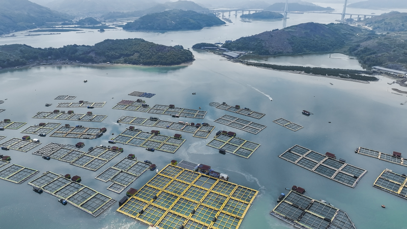 半天妖严守质价比，以极致严苛的“四重管控”造诣一条好鲈鱼 — 新京报