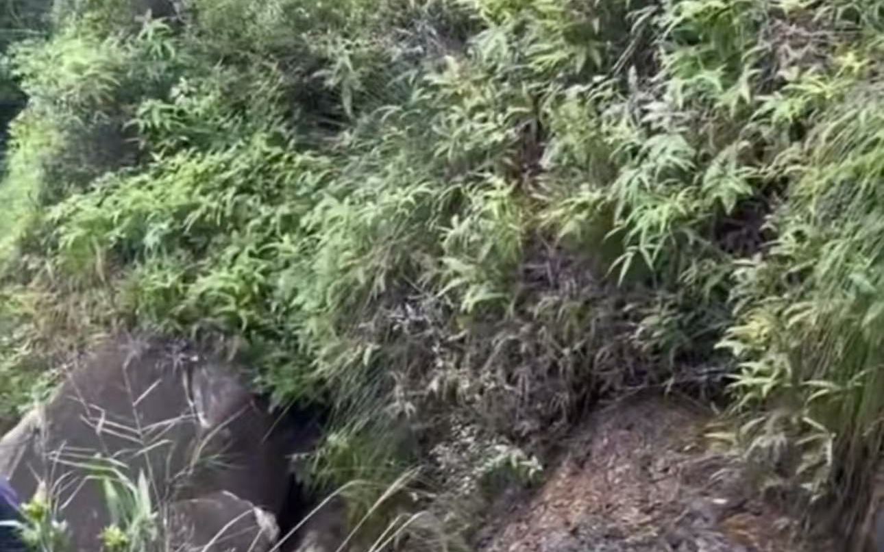 一个女人爬上一座山，掉进了山沟中死亡。登山