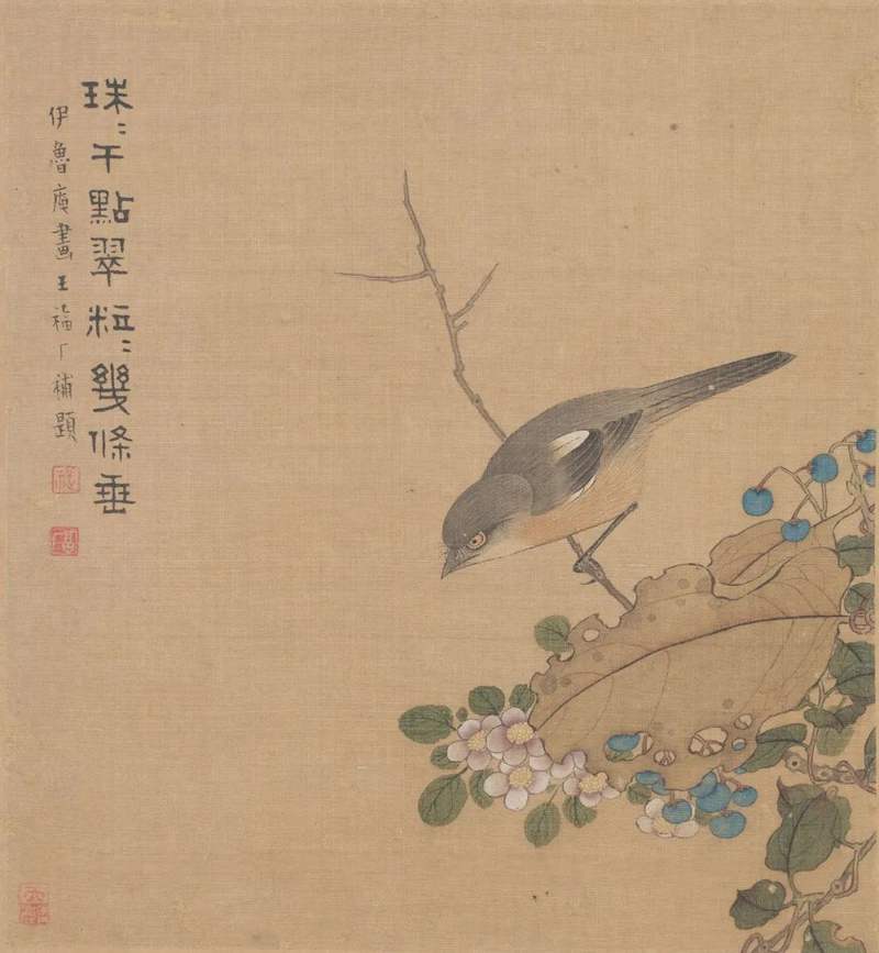 圖片