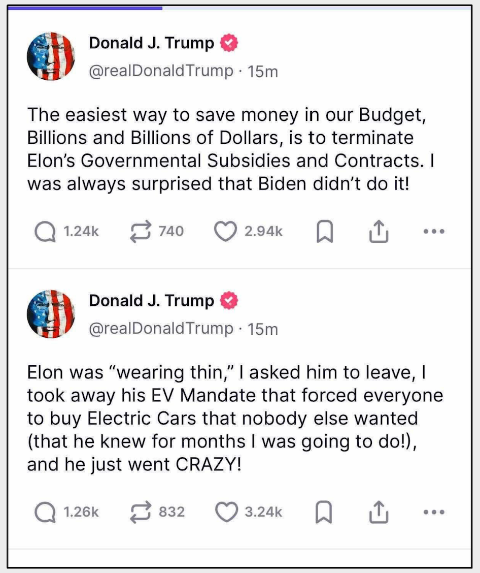 在特朗普·马斯克（Trump Musk