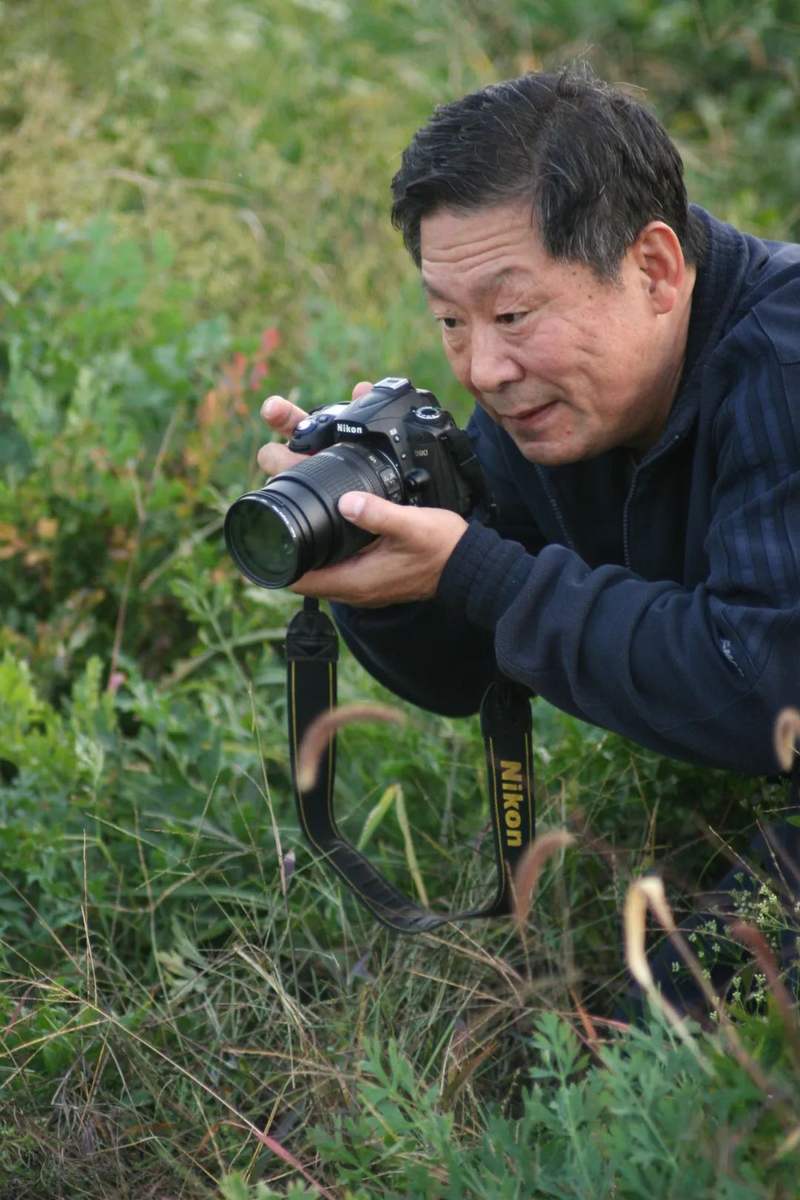 圖片