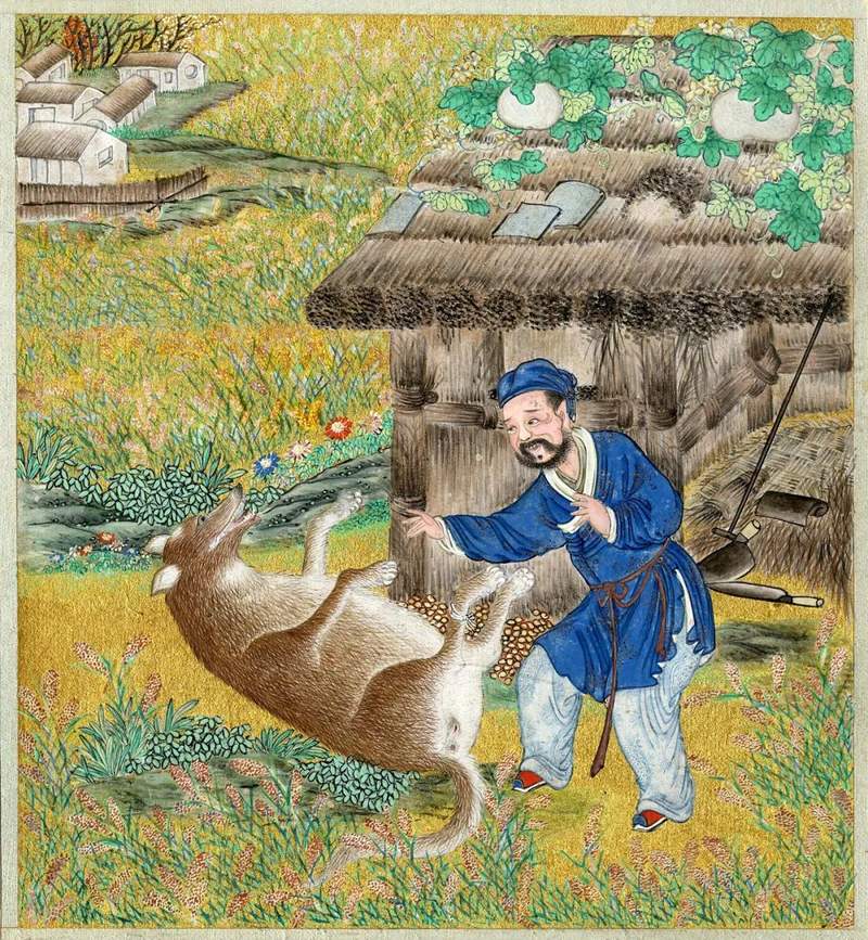 圖片