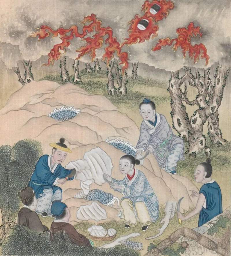 圖片