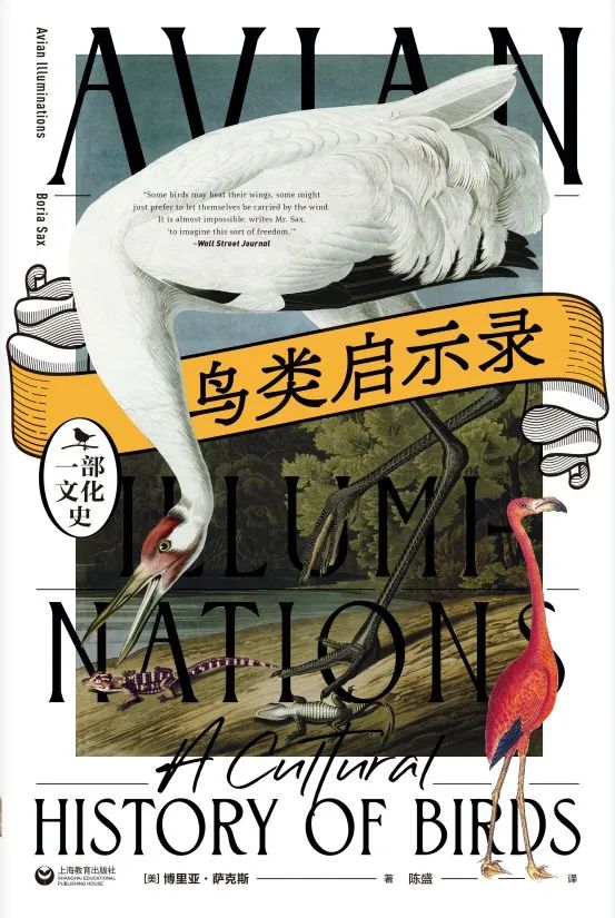 “鸟陈述：文化史” |每日书籍 - 北京的新闻