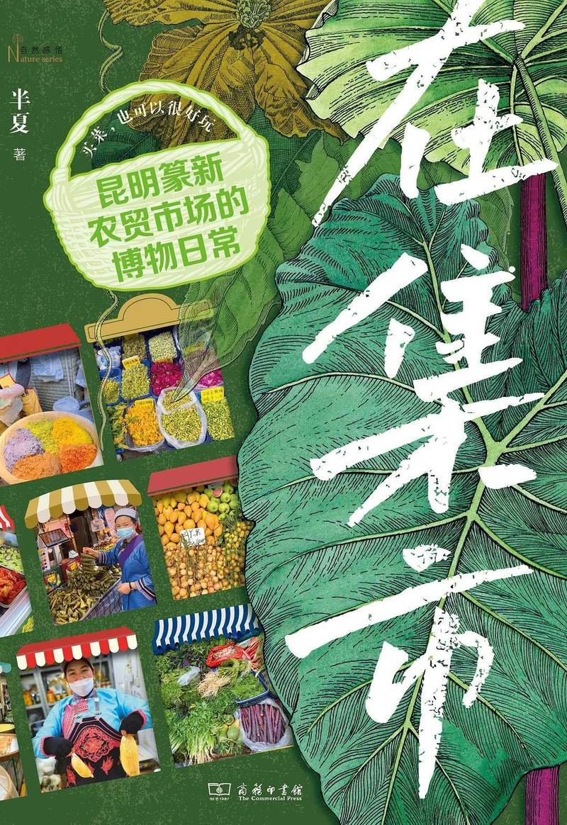 圖片