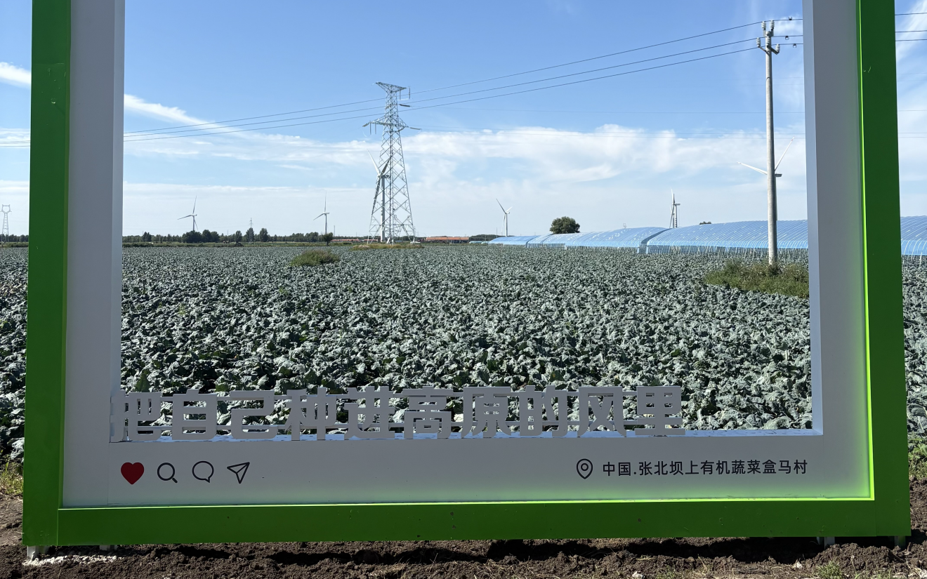 燕麦 +有机蔬菜，Zhangbei县的两个“ Hema村