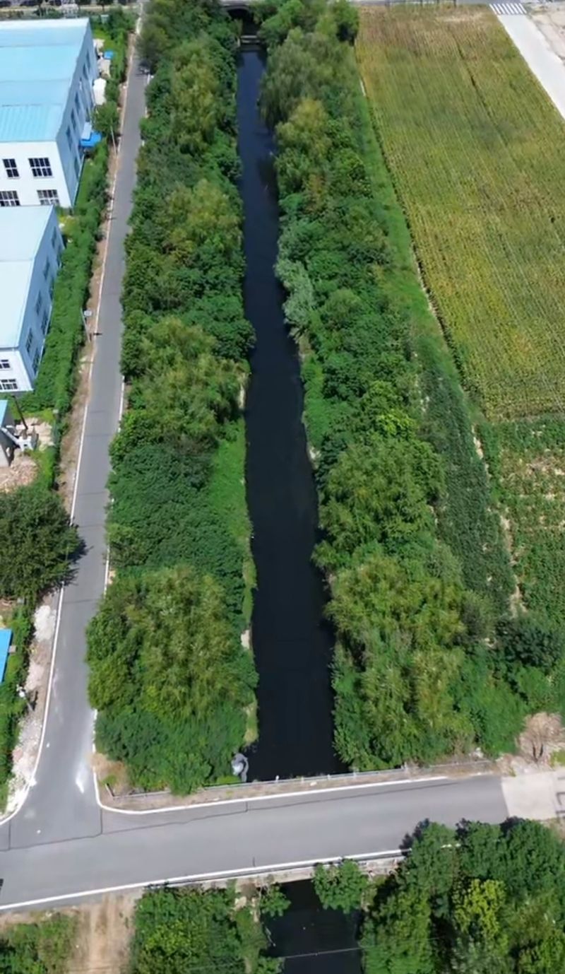 湖北孝感一河流被曝成“黑水河”散发刺鼻药味，当地已经睁开审核 — 新京报