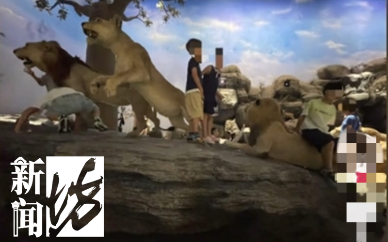 孩子在博物馆翻护栏摸标本，家长哪去了？