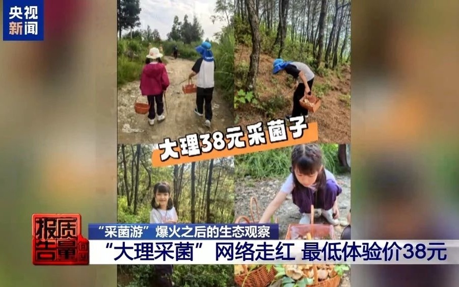 “复活节蘑菇收集”的分组不是生态旅行的适当