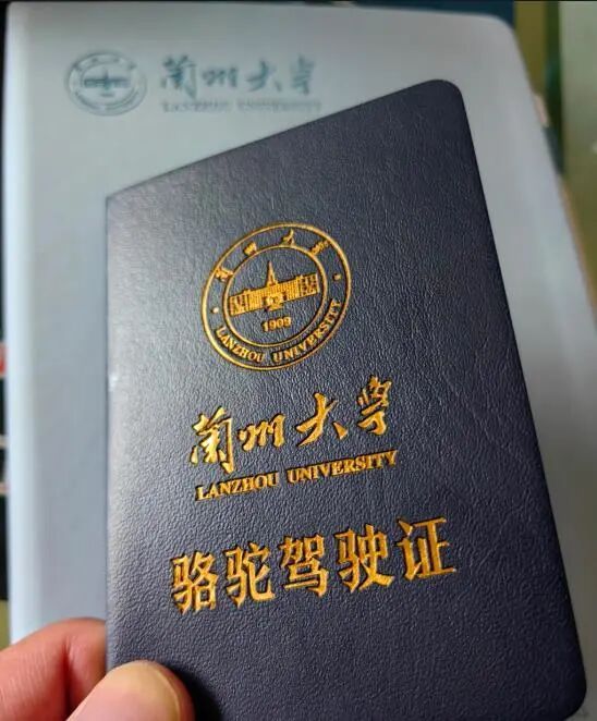 “骆驼驾驶证”，塑造配合大学校园横蛮