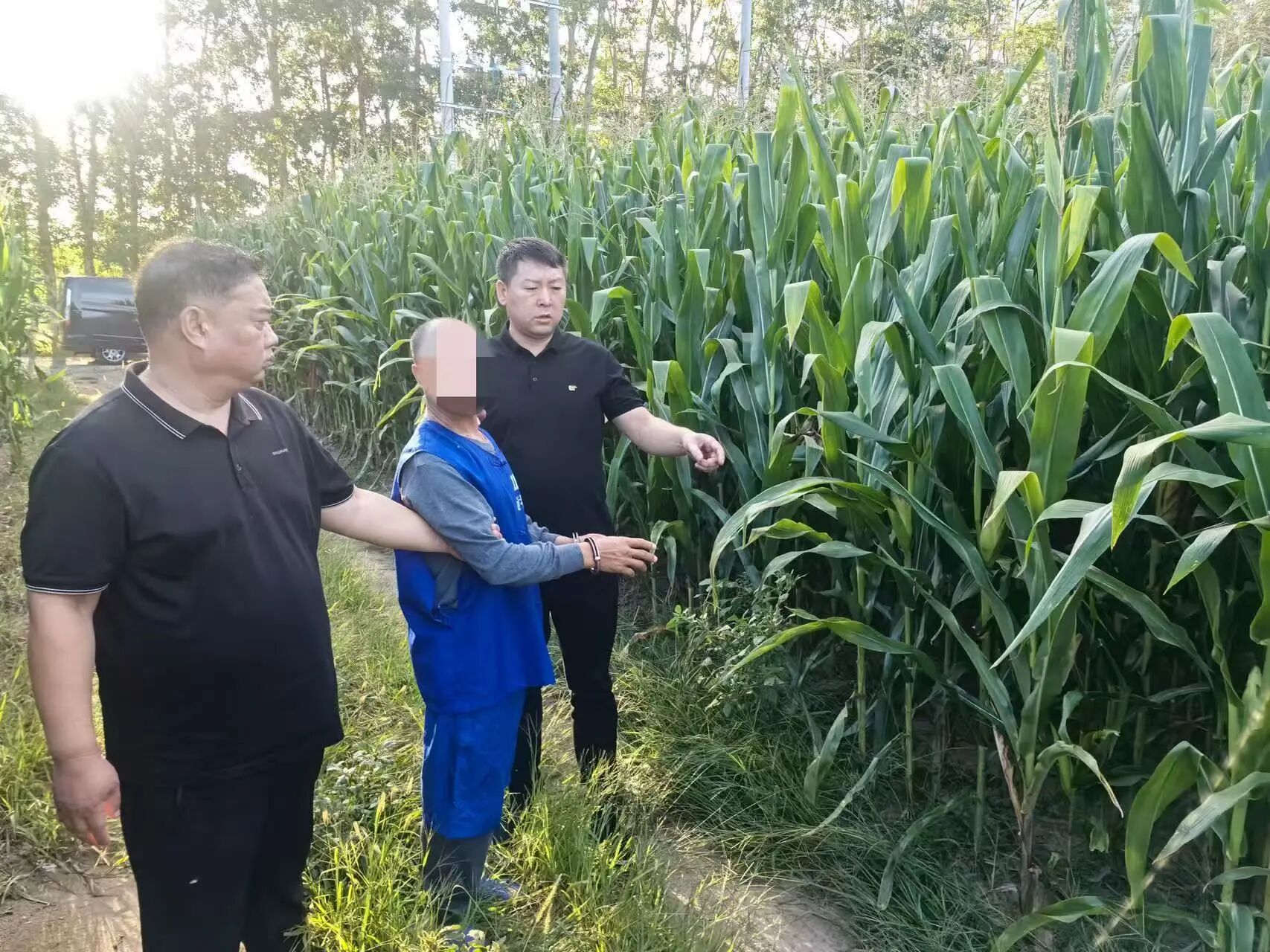 26年的接力赛追捕，汤利亚警察发动了积压的谋杀