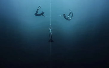 自由潜教会我的那些事