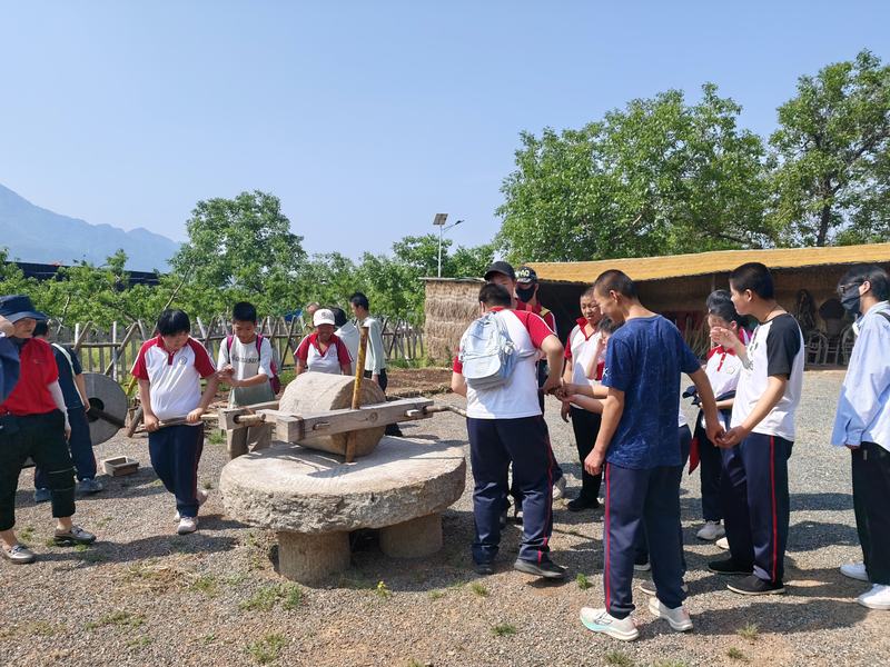 北京市东城区普惠性幼儿园招生6月10日起采集信息 —