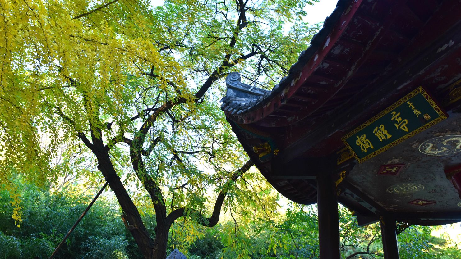 喜欢晚亭景区、独醒亭景区,栽种了大量银杏,现在已进入最佳不悦目赏期,金黄的银杏与喜欢晚亭相映成趣,更增增了公园浓浓的秋意色彩。亭景结相符,更增补了秋季的韵味,实属游客拍照留念的不错选择。