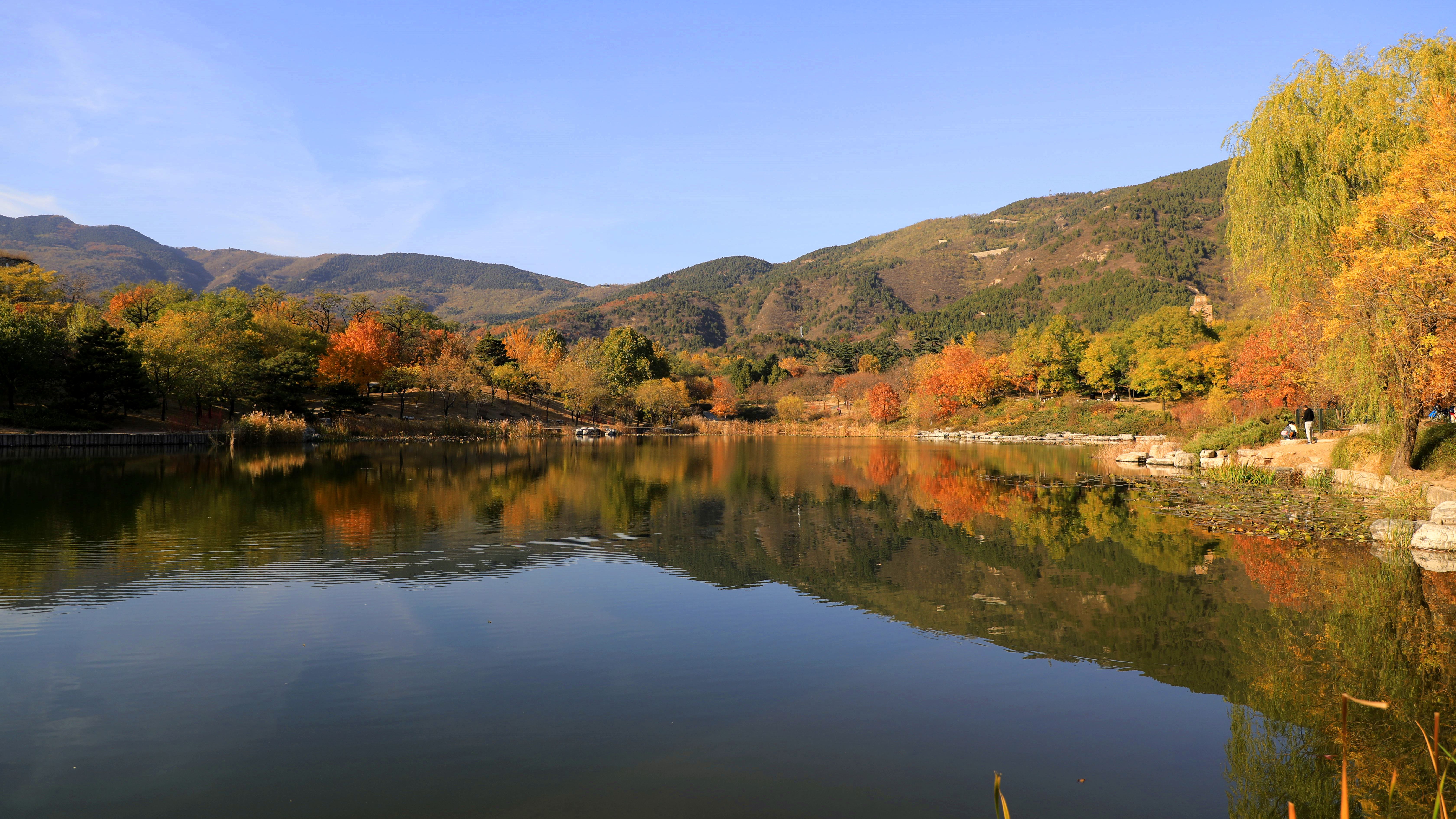 湖光秋色,青山环抱、秋水横流,槭树、水杉、元宝枫等彩叶树栽静立周边。不论是山峦中点缀的层层红艳,照样湖畔边摇曳的一抹秋色,无不让人感受秋日的艳丽众彩。