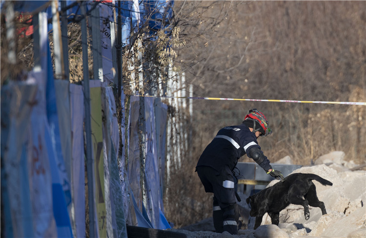 中国第一届国际标准搜救犬大赛考核结束